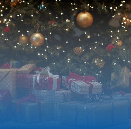 Provoz B2C e-shopu přes Vánoce